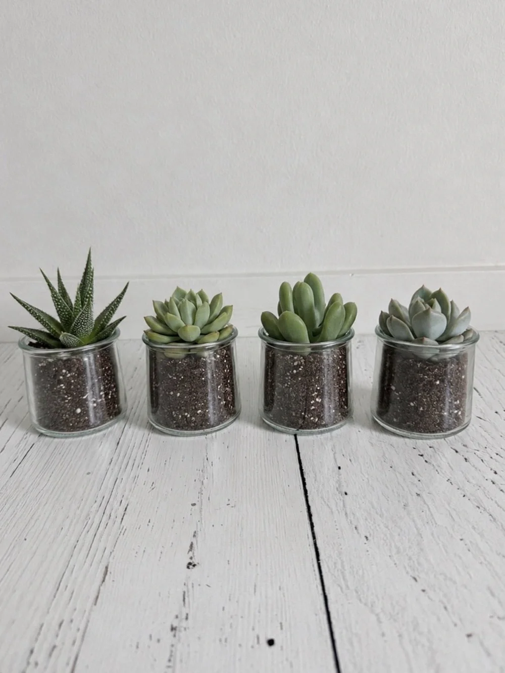 La FERMIÈRE Collection clear Jars - Set of 6